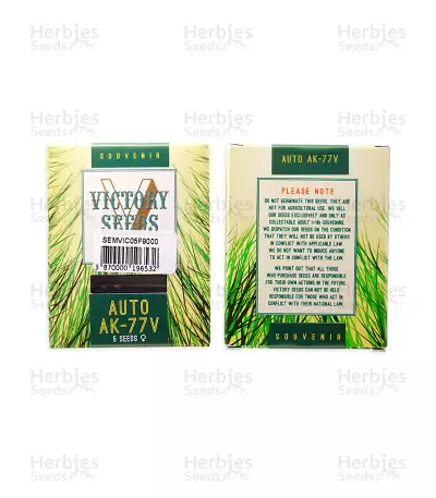 Auto AK-77V (Victory Seeds) Cannabis-Samen