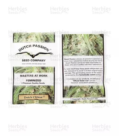 Dutch Cheese (Dutch Passion) Cannabis-Samen
