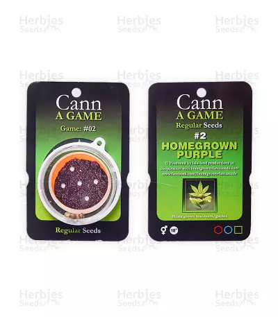 Homegrown Purple regular (Homegrown Fantaseeds) Cannabis-Samen
