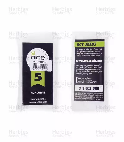 Honduras Regular (Ace Seeds) Cannabis-Samen