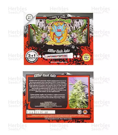 Killer Kush Auto (Sweet Seeds) Cannabis-Samen