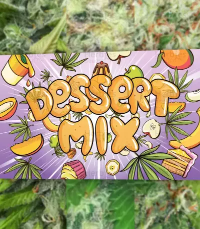 Dessert Mix Samen feminisiert (Herbies Seeds)