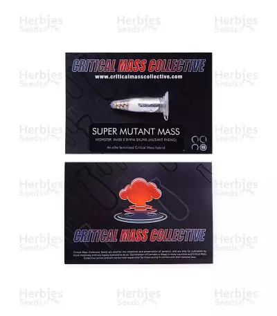 Super Mutant Mass (Critical Mass Collective Seeds) Cannabis-Samen