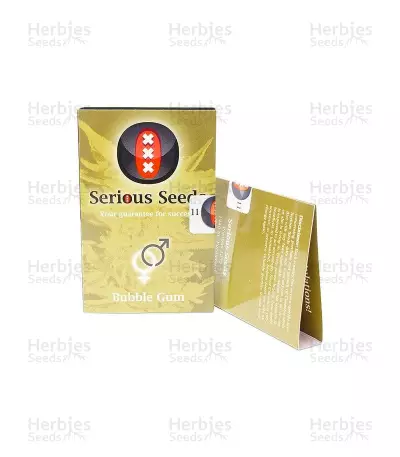 Bubble Gum regular (Serious Seeds) Cannabis-Samen