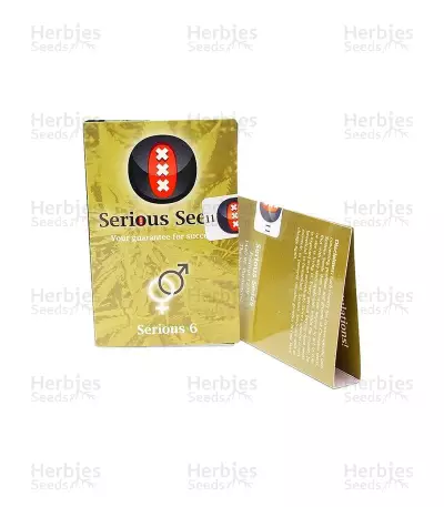 Serious 6 regular (Serious Seeds) Cannabis-Samen