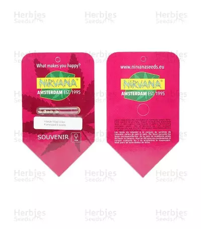Hawaii Maui Waui (Nirvana Seeds) Cannabis-Samen