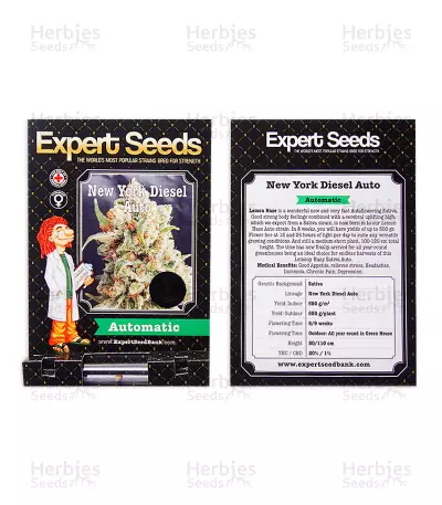 New York Diesel Auto (Expert Seeds) Cannabis-Samen