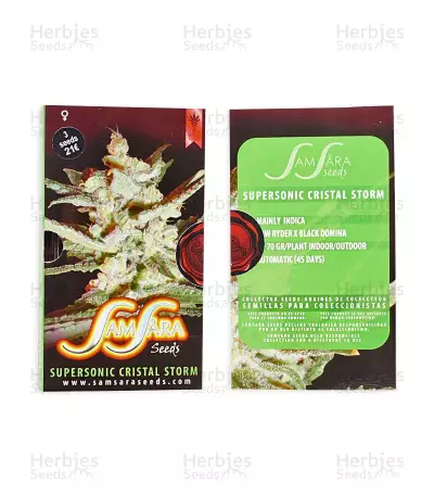 Supersonic Cristal Storm Auto (Samsara Seeds) Cannabis-Samen