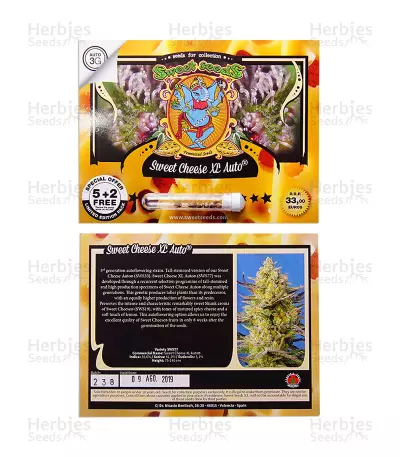 Sweet Cheese XL Auto (Sweet Seeds) Cannabis-Samen