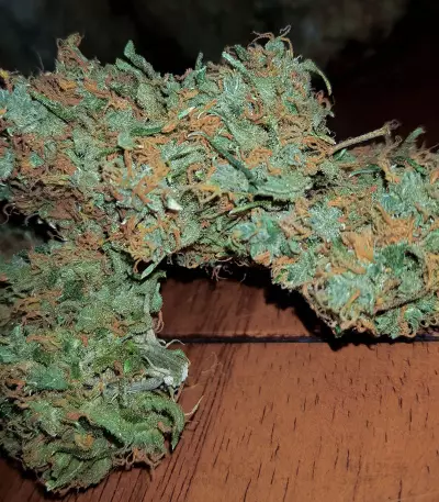 Big Stilton Auto (Big Head Seeds) Cannabis-Samen