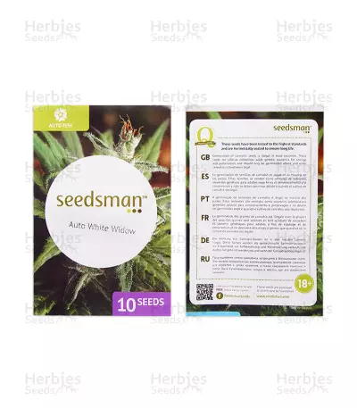 Auto White Widow (Seedsman Seeds) Cannabis-Samen