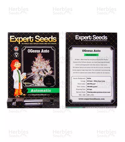 OGesus Auto (Expert Seeds) Cannabis-Samen