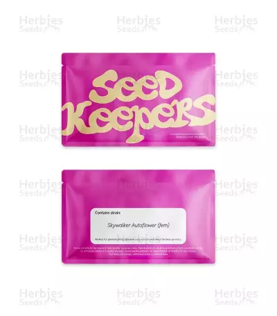 Skywalker Autoflower feminisierte Samen (Seedkeepers)