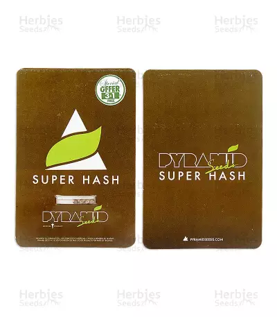 Super Hash (Pyramid Seeds) Cannabis-Samen