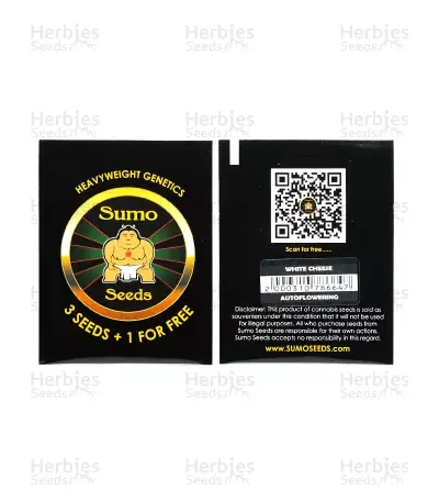 White Cheese Auto (Sumo Seeds) Cannabis-Samen