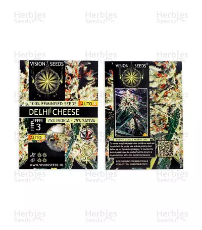 Delhi Cheese Auto (Vision Seeds) Cannabis-Samen