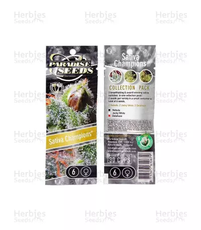 Sativa Champions Pack (Paradise Seeds) Cannabis-Samen