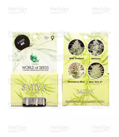 Sativa Pure Origin Collection (World of Seeds) Cannabis-Samen