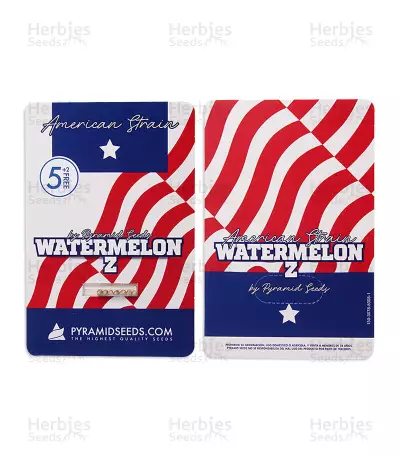Watermelon Z (Pyramid Seeds) Cannabis-Samen