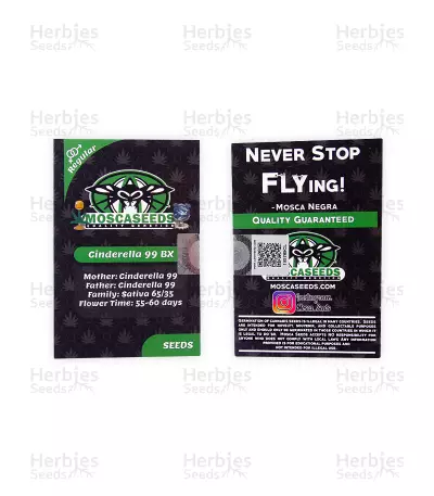 Cinderella99 BX regular (Mosca Seeds) Cannabis-Samen