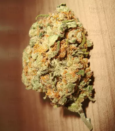 Silver Bubble (Reserva Privada) Cannabis-Samen