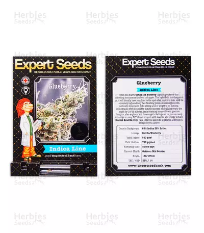 Glueberry (Expert Seeds) Cannabis-Samen