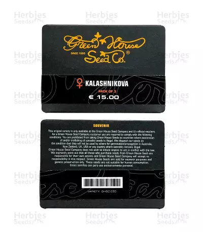 Kalashnikova (GHS) Cannabis-Samen