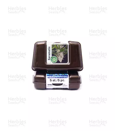 Keramatic Auto (Kera Seeds) Cannabis-Samen