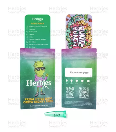 Runtz Punch feminisierte Samen (Herbies Seeds)