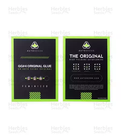 GG#4 Original Glue Auto (Auto Seeds) Cannabis-Samen