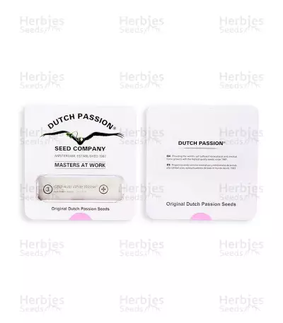 CBD Auto White Widow (Dutch Passion) Cannabis-Samen