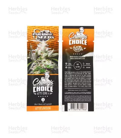 Auto Kong 4 (Paradise Seeds) Cannabis-Samen