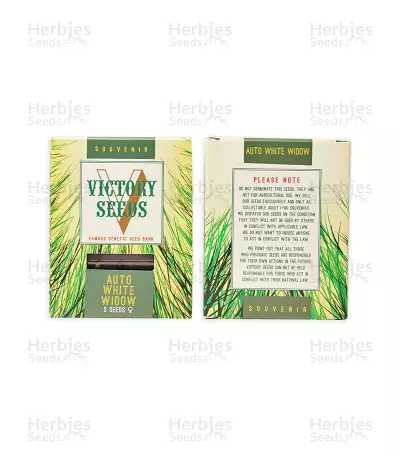 White Widow (Victory Seeds) Cannabis-Samen