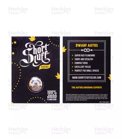 Blue Himalaya Auto (Short Stuff Seeds) Cannabis-Samen