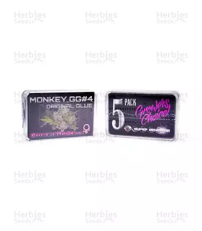 Monkey GG#4 Original Glue (Growers Choice) Cannabis-Samen