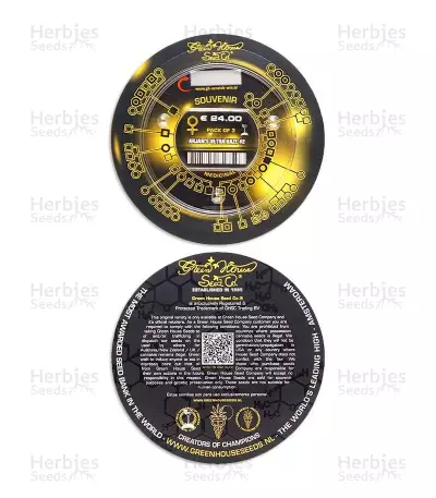 Arjan's Ultra Haze #2 (Mango Haze AUH#2) (GHS) Cannabis-Samen