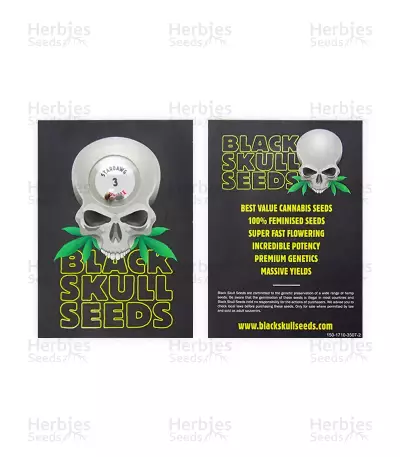 Stardawg (Blackskull Seeds) Cannabis-Samen