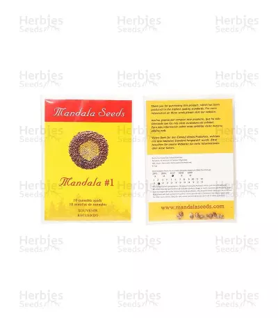 Mandala #1 regular (Mandala Seeds) Cannabis-Samen