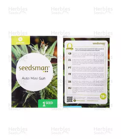 Auto Mini Gun (Seedsman Seeds) Cannabis-Samen