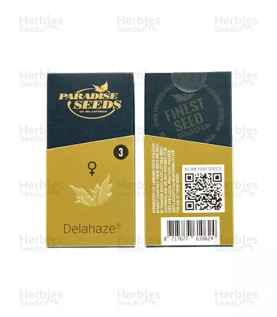 Delahaze (Paradise Seeds) Cannabis-Samen