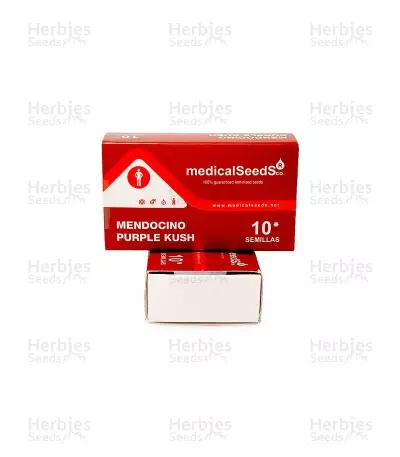 Mendocino Purple Kush (Medical Seeds) Cannabis-Samen