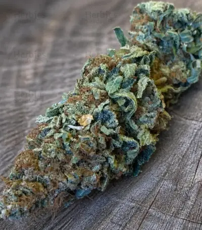 Planet Of The Grapes Auto (Ethos Genetics)