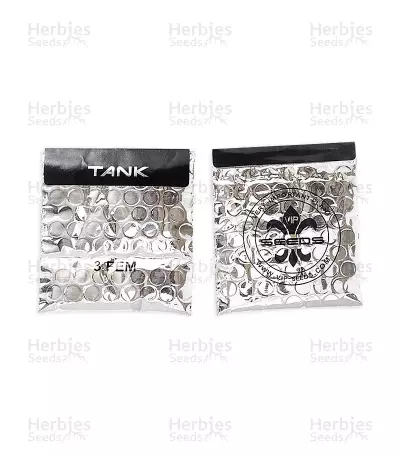 Tank (VIP seeds) Cannabis-Samen