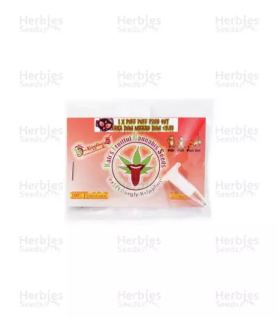 Puff Puff Pass Out (KFC Seeds) Cannabis-Samen