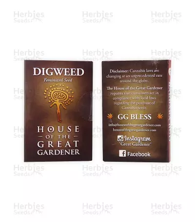 Digweed (House of the Great Gardener Seeds) Cannabis-Samen