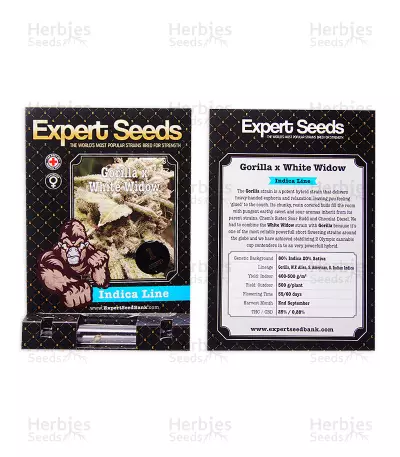 Gorilla x White Widow (Expert Seeds) Cannabis-Samen