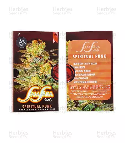 Spiritual Punk (Samsara Seeds) Cannabis-Samen