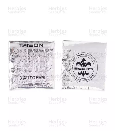 Taison Auto (VIP seeds) Cannabis-Samen