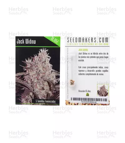 Jack Widow (Seedmakers Seeds) Cannabis-Samen