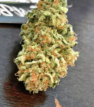 Pineapple Glue (Advanced Seeds) Cannabis-Samen